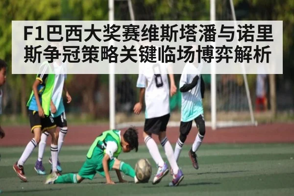 F1巴西大奖赛维斯塔潘与诺里斯争冠策略关键临场博弈解析